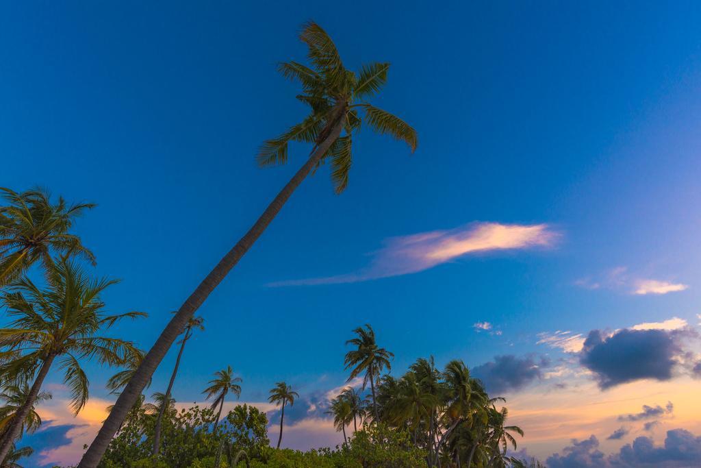 ホテル サッバ サマー スイート Fodhdhoo エクステリア 写真